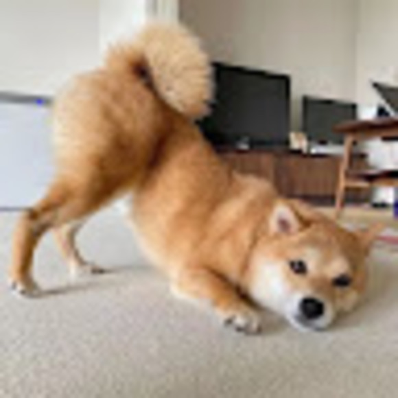 bradyzhang0917